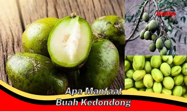 apa manfaat buah kedondong