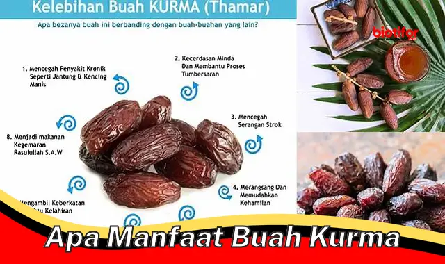 apa manfaat buah kurma