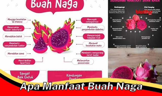 apa manfaat buah naga