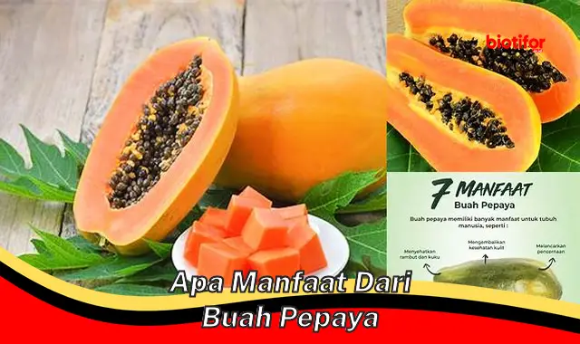 apa manfaat dari buah pepaya