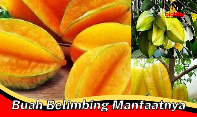 buah belimbing manfaatnya