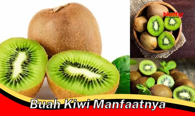 buah kiwi manfaatnya