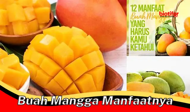 buah mangga manfaatnya