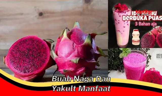 buah naga dan yakult manfaat