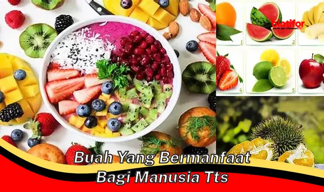 buah yang bermanfaat bagi manusia tts