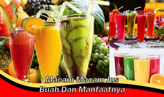 macam macam jus buah dan manfaatnya