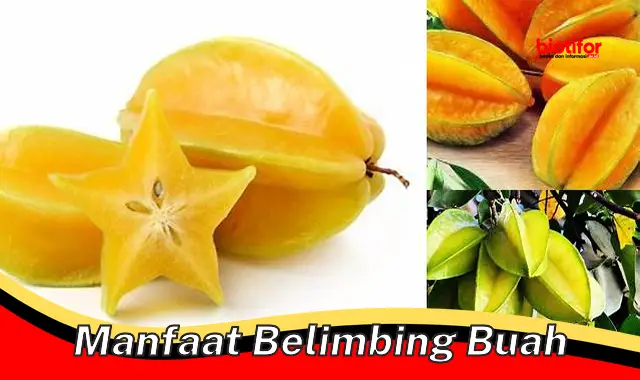 manfaat belimbing buah