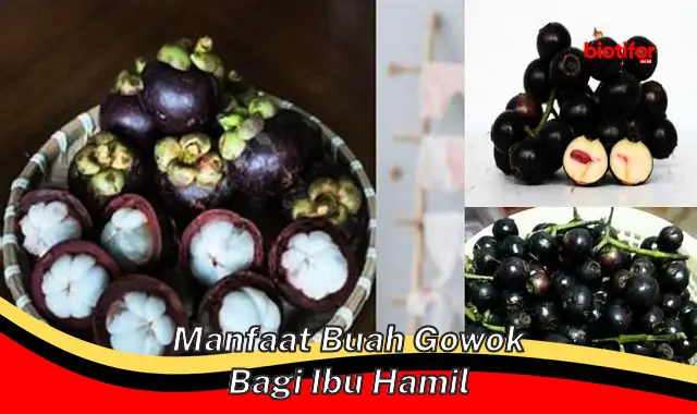 manfaat buah gowok bagi ibu hamil