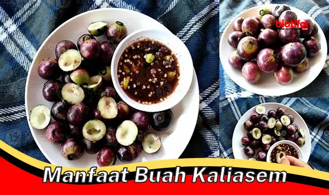 manfaat buah kaliasem