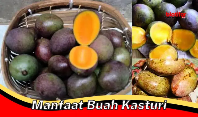 manfaat buah kasturi