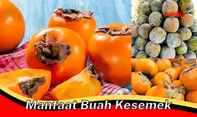 Temukan Khasiat Buah Kesemek yang Jarang Diketahui