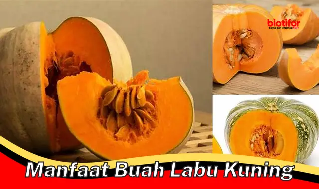 manfaat buah labu kuning