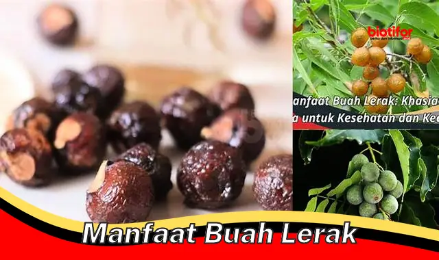 manfaat buah lerak