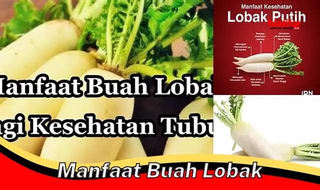 manfaat buah lobak