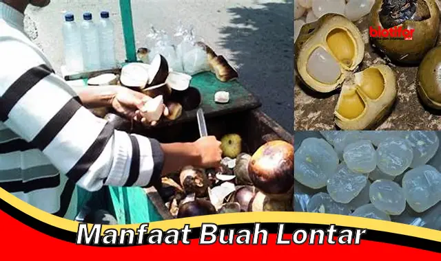 manfaat buah lontar