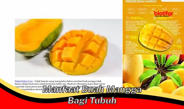 manfaat buah mangga bagi tubuh