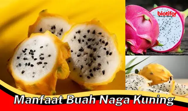 manfaat buah naga kuning