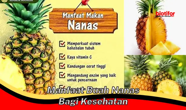 manfaat buah nanas bagi kesehatan