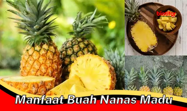 manfaat buah nanas madu