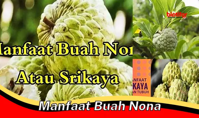 manfaat buah nona