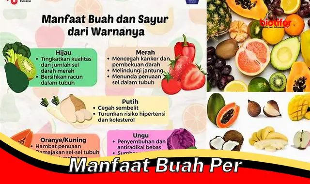 Temukan Manfaat Buah Per yang Mungkin Belum Anda Ketahui - Biotifor