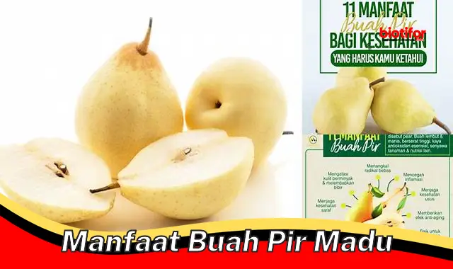 manfaat buah pir madu