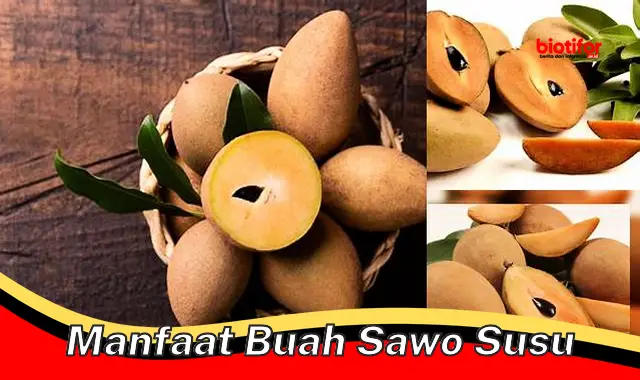 Temukan Manfaat Buah Sawo Susu yang Jarang Diketahui