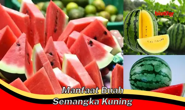 manfaat buah semangka kuning