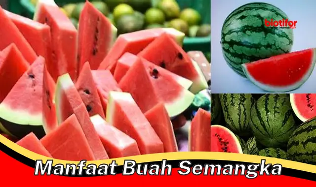 manfaat buah semangka