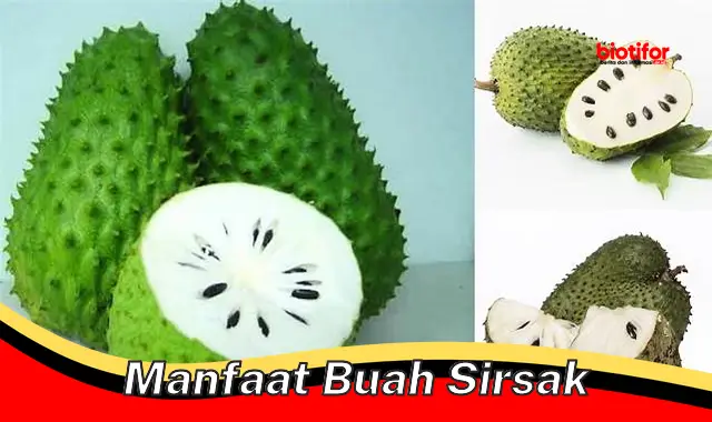 manfaat buah sirsak