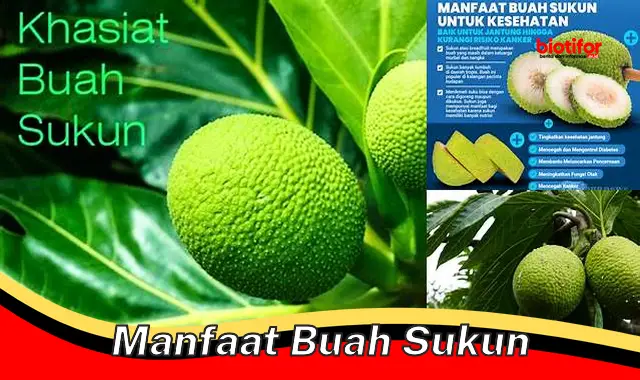 manfaat buah sukun