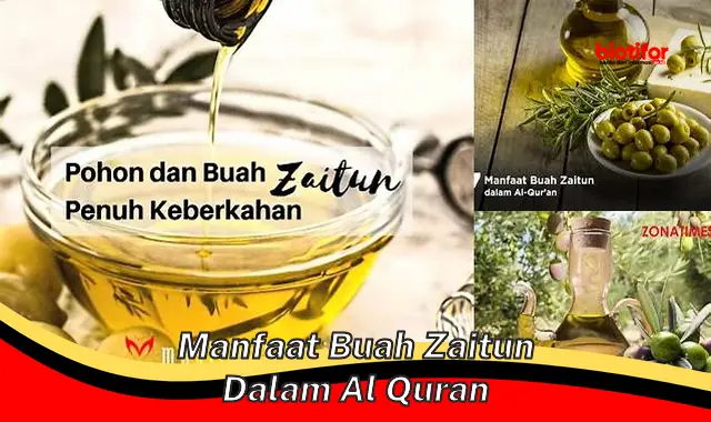 manfaat buah zaitun dalam al quran