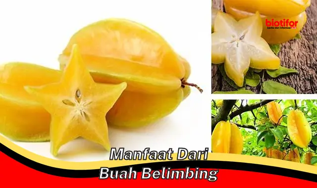 manfaat dari buah belimbing