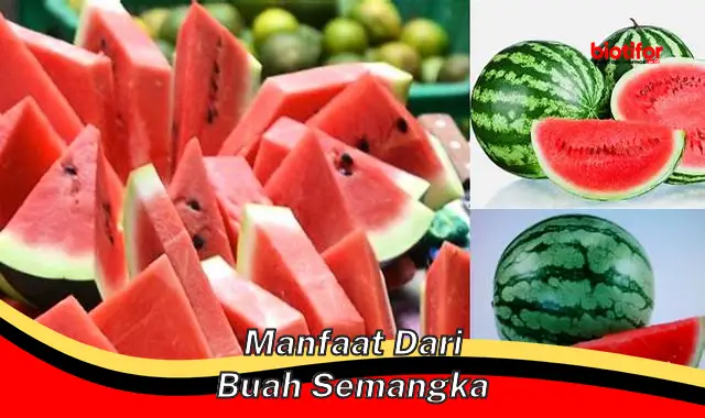 manfaat dari buah semangka