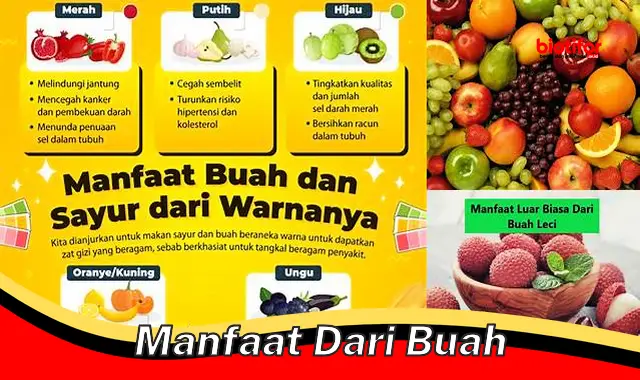 manfaat dari buah