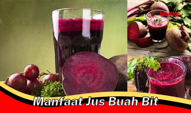 manfaat jus buah bit