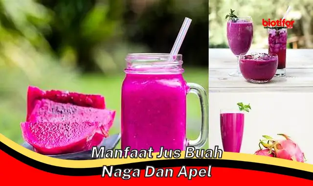 manfaat jus buah naga dan apel