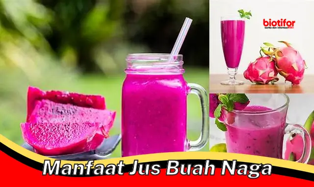 manfaat jus buah naga