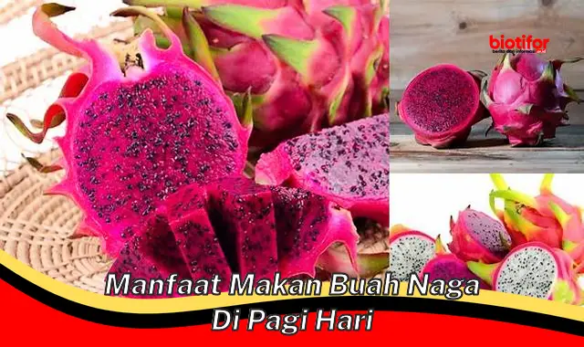 5 Manfaat Makan Buah Naga di Pagi Hari yang Jarang Diketahui