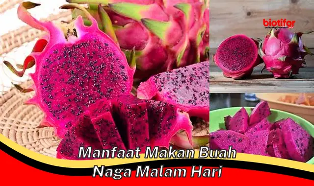 manfaat makan buah naga malam hari