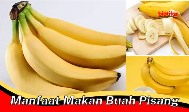 manfaat makan buah pisang