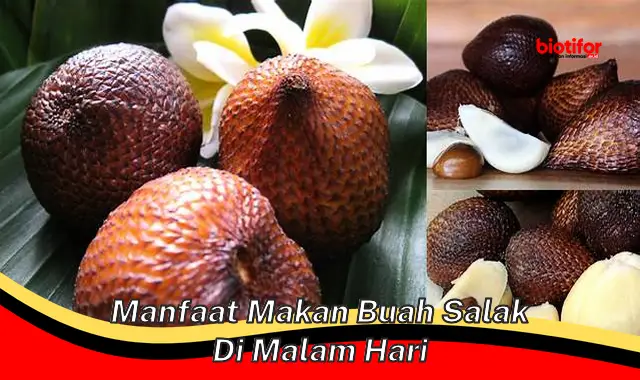 manfaat makan buah salak di malam hari