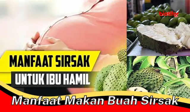 manfaat makan buah sirsak