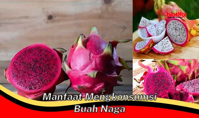 manfaat mengkonsumsi buah naga