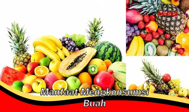 manfaat mengkonsumsi buah