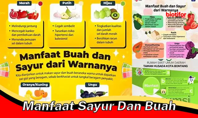 manfaat sayur dan buah