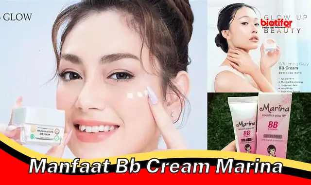 Temukan 5 Manfaat BB Cream Marina yang Jarang Diketahui