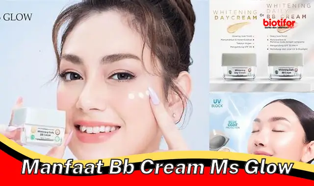 Temukan Manfaat BB Cream MS Glow yang Jarang Diketahui