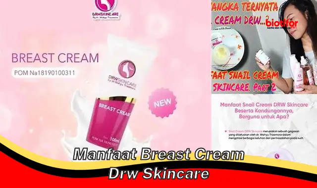 manfaat breast cream drw skincare