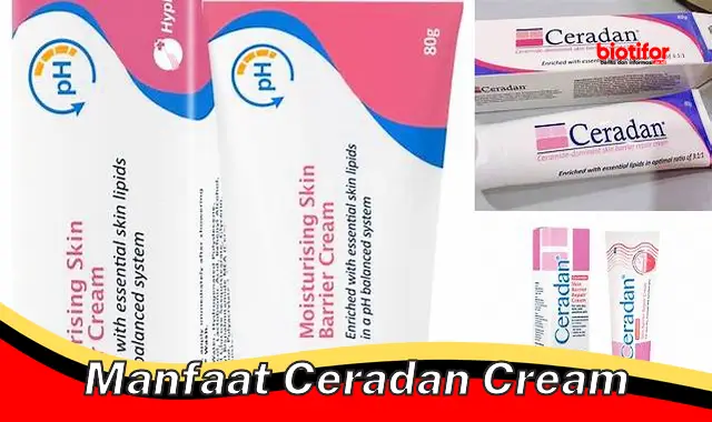 manfaat ceradan cream